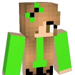 sel16 Minecraft avatar bust