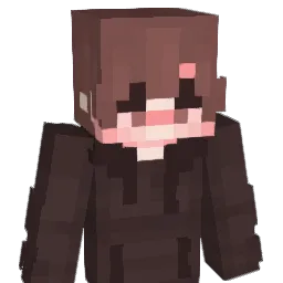 selbel_19 Minecraft avatar bust