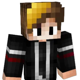 selman26 Minecraft avatar bust