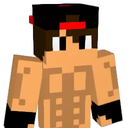 sem6161 Minecraft avatar bust