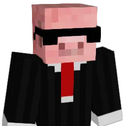 sen0_0 Minecraft avatar bust
