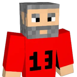 senai134 Minecraft avatar bust