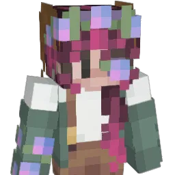 senare_ Minecraft avatar bust
