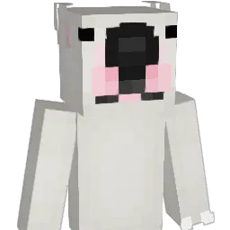 senpiece Minecraft avatar bust
