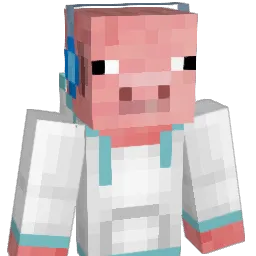 server48 Minecraft avatar bust