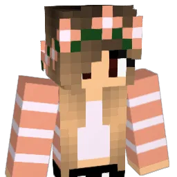 sessy450 Minecraft avatar bust