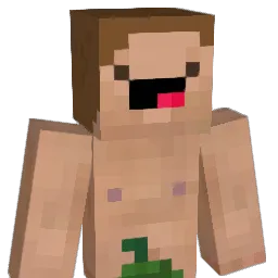 sev5790 Minecraft avatar bust