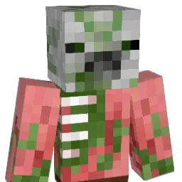 seventeen_days Minecraft avatar bust