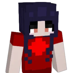 sfisher923 Minecraft avatar bust
