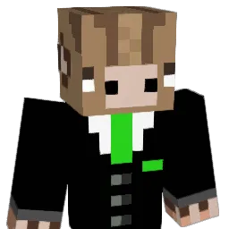 sfry5 Minecraft avatar bust