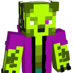 sgrb_ Minecraft avatar bust