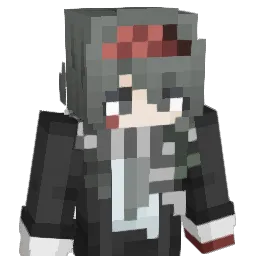 sgzdzc