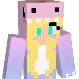 sh3lbs222 Minecraft avatar bust