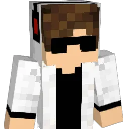 sh4down10 Minecraft avatar bust