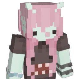 sh9rks Minecraft avatar bust