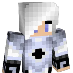shaaoo's Minecraft skin