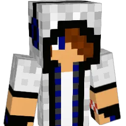 shademan20 Minecraft avatar bust
