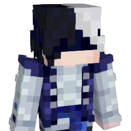 shadow_fighter20 Minecraft avatar bust