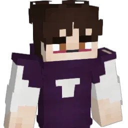 shadowboy33669 Minecraft avatar bust