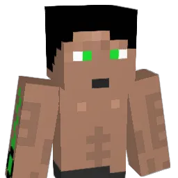 shadowphoenixHD Minecraft avatar bust