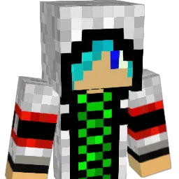 shadowxking422 Minecraft avatar bust