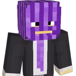 shamxl Minecraft avatar bust