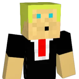 shane608 Minecraft avatar bust