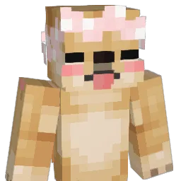 shankrxn8111's Minecraft skin