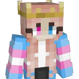 shark4499 Minecraft avatar bust