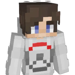 sharkaids Minecraft avatar bust