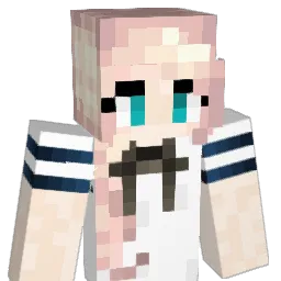 sharkcd16 Minecraft avatar bust