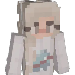 shawkins08 Minecraft avatar bust