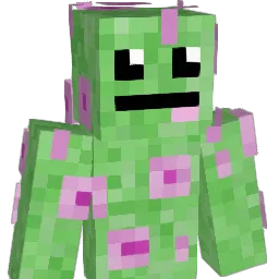 shawn_notme Minecraft avatar bust
