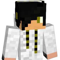 shayh123 Minecraft avatar bust