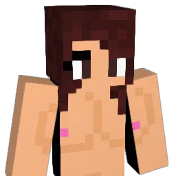 shaymingamer492 Minecraft avatar bust