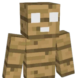 shco1e Minecraft avatar bust