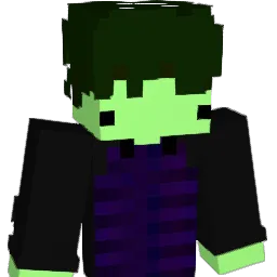 shell1222 Minecraft avatar bust