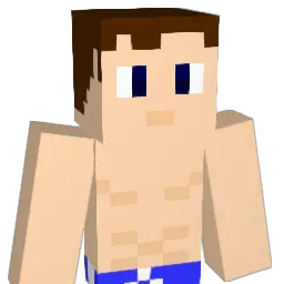 shellcool Minecraft avatar bust