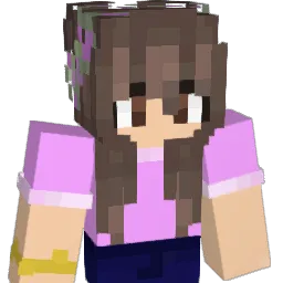 shesangry's Minecraft skin