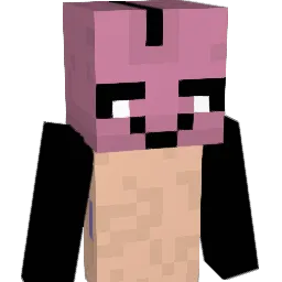 shhcolin Minecraft avatar bust
