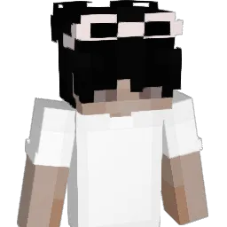 shiftyyfrann Minecraft avatar bust