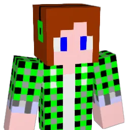 shin495 Minecraft avatar bust