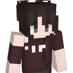 shinsiaa__ Minecraft avatar bust