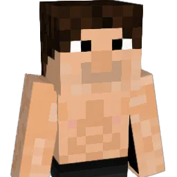 shk235 Minecraft avatar bust