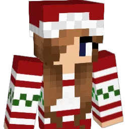 shmee405 Minecraft avatar bust