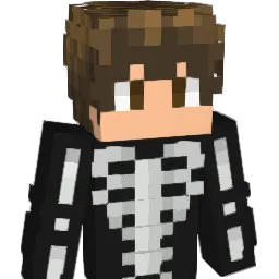 shmoneyt Minecraft avatar bust