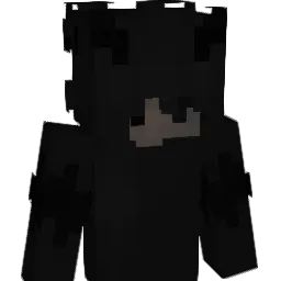 shnse Minecraft avatar bust