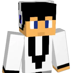 shokapics Minecraft avatar bust