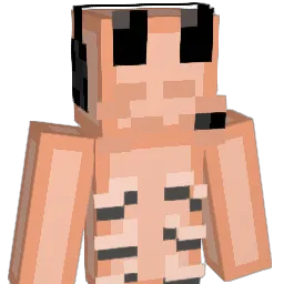 shrimpgang25 Minecraft avatar bust