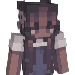 shrinkwrap11's Minecraft skin